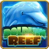 Dolphin Reef